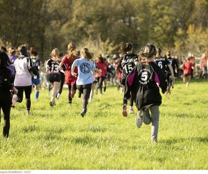 Sport scolaire, les associations dans les starting-blocks