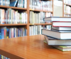 Des sélections de documents par vos bibliothécaires départementaux