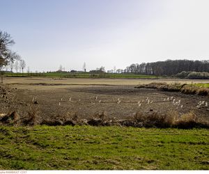 L’étang de l’Archevêque à sec