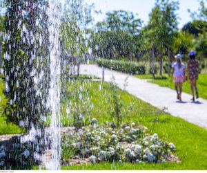 Arboretum de la Pérée : un poumon vert au cœur de Fondettes