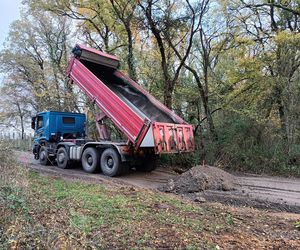 Nouvelles dessertes forestières au Domaine de Candé à Monts