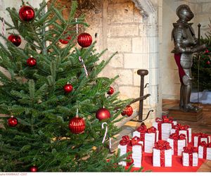Noël au Pays des Châteaux : de la magie en Touraine