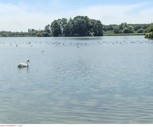 L’étang d’Assay, le repère des oiseaux