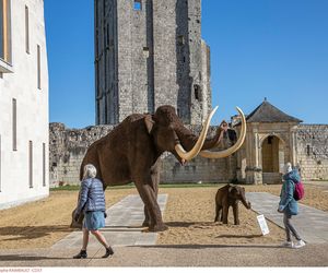 Un hiver animé dans les monuments tourangeaux !